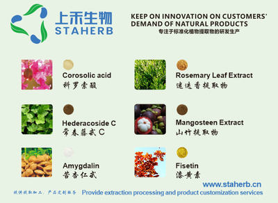 綠原酸 天然綠色的多面手，工業植物提取引領健康新未來