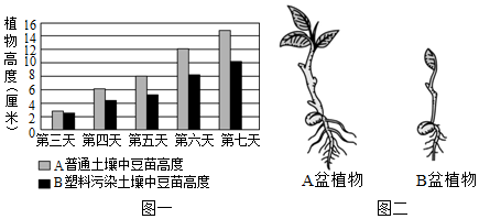 工業植物提取瑰寶 海藻酸鈉的特性與應用