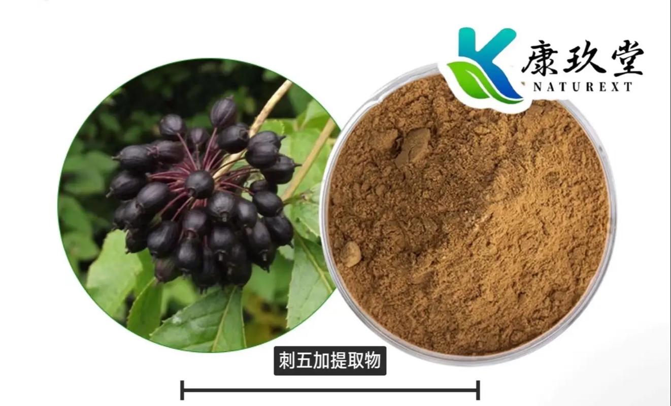 工業植物提取 賦能綠色發展的現代產業引擎